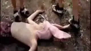 Gummo Bunny Beat ThIng - Fantastico