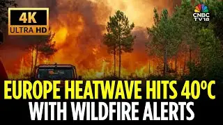 Europe Faces Extreme Heatwave, Temperatures Rise To 40&deg;C | Wildfires Rage Across Spain And Portugal