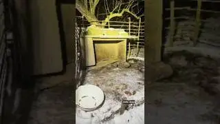 Kolejne kt&oacute;re walczyły o przetrwanie przy -15&deg;C 🐶 #dog #help #dioz #shorts