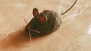 Hexbug Mouse Robotic Cat Toy
