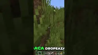 #donliluofficial #thewulfs #minecraftcursedwalking #minecraftshorts #romaniagaming #viralshorts #fyp