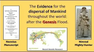 After The Genesis Flood