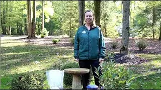 PETITTI How to Attract Birds to Your Yard