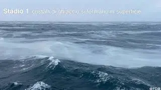 7. Sea ice formation