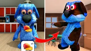 Talking Pablo Update review | New food, dancing, games