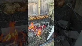 Pollo a la le&ntilde;a