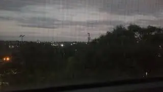 Nightly Birds 2 | Evening in Australia