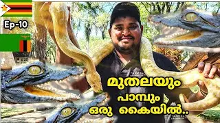 EP #10 - ഒരു പാലം രണ്ട് രാജ്യങ്ങൾ🇿🇼Zambia 🇿🇲പോയി തിരിച്ചു വന്നു | പാമ്പ് കഴുത്തിൽ കുടുങ്ങി |