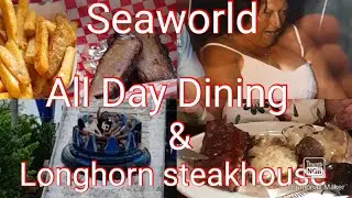 WALMART / SEAWORLD ALL DAY DINING DEAL /  LONGHORN STEAKHOUSE / ORLANDO VLOG