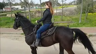 Beautiful Woman Riding Horse