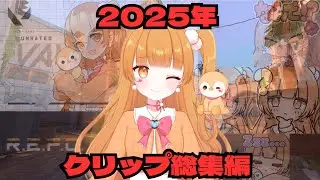 【総集編】 2025年Twitch配信クリップ、ACE,Clutch【切り抜き】