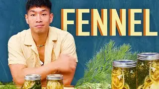 Elevate Your Dishes | Easy Pickled Fennel Recipe