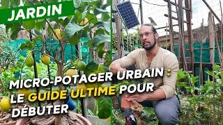 Micro-potager urbain : Irfaan vous d&eacute;voile tous ses secrets pour une r&eacute;colte abondante !