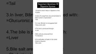 Important Questions Of Digestive System #shorts #medical #hospital