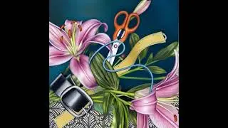 Animated Paintings