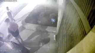 Theft of...Sheep Statue