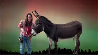 Training Wild Burros with MaryJo Enfield is live!