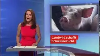 Vulkanlandschwein - Landwirt schafft - STEIERMARK HEUTE 09/2015