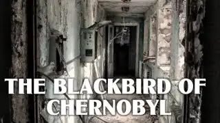 The Blackbird of Chernobyl: Mothman Returns?