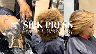 ОНА ОБРЕЗАЛА СВОИ КОНЧИКИ ДОМА! | ПРОЦЕДУРА SILK PRESS
