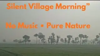 Silent Village Morning | Fog, Farming & Pure Rural Life