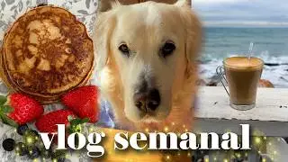 🥞🌿 Tortitas saludables, plantas felices, mucho deporte&hellip; y una tortuga ingrata 🐢💪