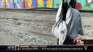 WDSU Aubry Killion shows closer look at how inmates escaped