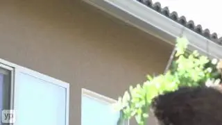 Dustin Pest Control | Fresno, California