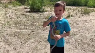Herping and Hunting for Turtles, Snakes and Toads in Massachusetts!