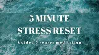 5 Minute Stress Reset. Easy guided 5 Senses Meditation