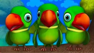 Main Tota Main Tota | Budgie Birds Chirping Sounds | मिट्ठू मिट्ठू 🦜 #parrot #trending #viralvideo