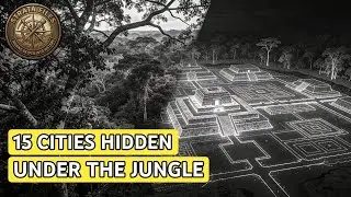 2,500-Year-Old Cities Found In Amazon Rainforest Change History (And Prove It Was Never Wild)