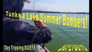 Stillwater Fly Fishing: Tunkwa Lake Summer Bombers - BCFLYGUYS Day Tripping S02E15