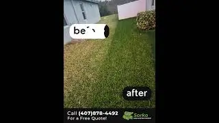 Transform your lawn in as little as two services with Sorko Lawn and Pest Control! #centralflorida