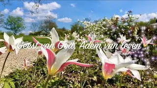 Geest van God, Adem van leven | Esprit de Dieu, Souffle de vie | Emmanuel