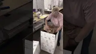 Day in the life in Dispatch #dispatch #packaging #meetthemakers