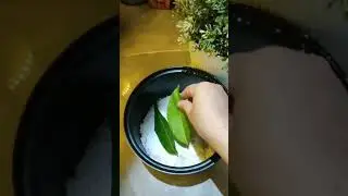 Resep Menu Sarapan Pagi Simpel dan Praktis