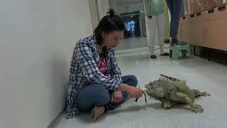 Vivaristični krožek na BIC Ljubljana, Gimnaziji in veterinarski šoli / 2024