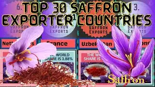 Top 30 Saffron Exporter Countries in 2019 | Saffron Producer Countries | #saffron