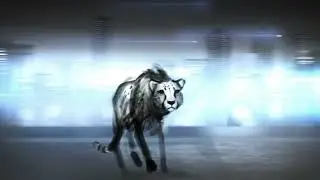 Cheetah Vision Films