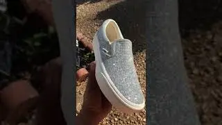 Amazing glitter vans!