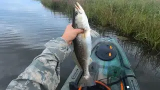 Kayak fishing in the rain!!! Exploring the marshes of Shell Beach, Louisiana