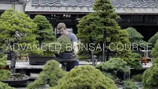 Advanced Bonsai Course - Trailer