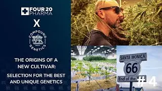 The origins of a new cultivar | 420 Pharma x Compound Genetics - Part 4