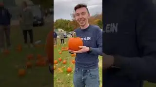 Is this the best pumpkin patch in NJ?