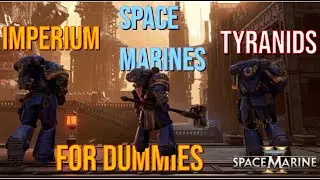 Space Marines & Warhammer 40K for Dummies