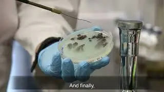 Microbial Research in Florida Springs and Beyond