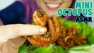 #80 Request ASMR Eating Sounds: Octopus and Cuttlefish || 먹방 || No Talking || ASMR Indonesia