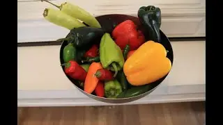 Ingredient of the week (Peppers)