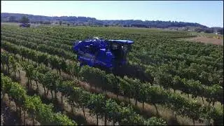 vendanges de rouge 2018 SARL GEFVAD